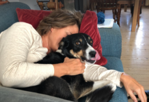 Ny forskning: Båndet mellom hund og menneske er unikt