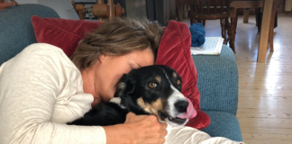 Ny forskning: Båndet mellom hund og menneske er unikt